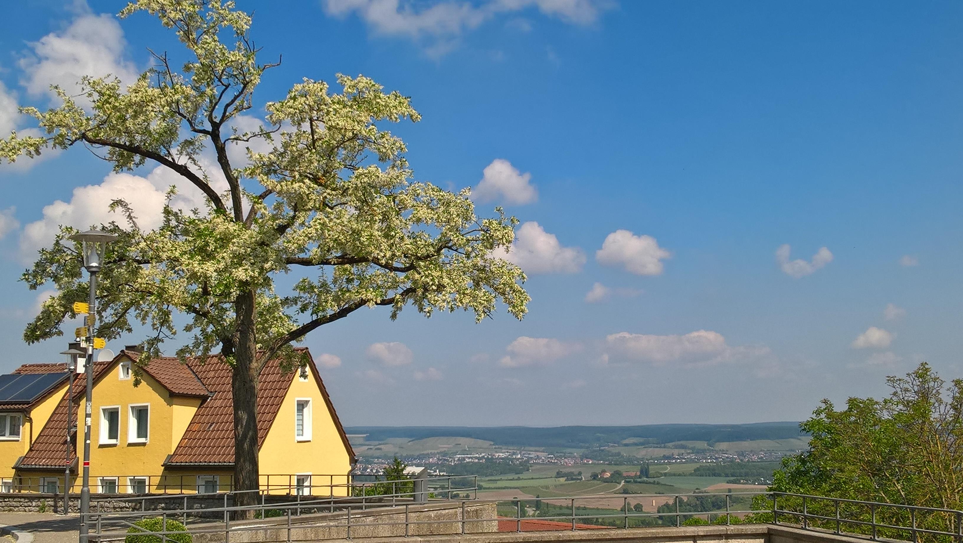 Löwenstein - Detailseite - LEO-BW