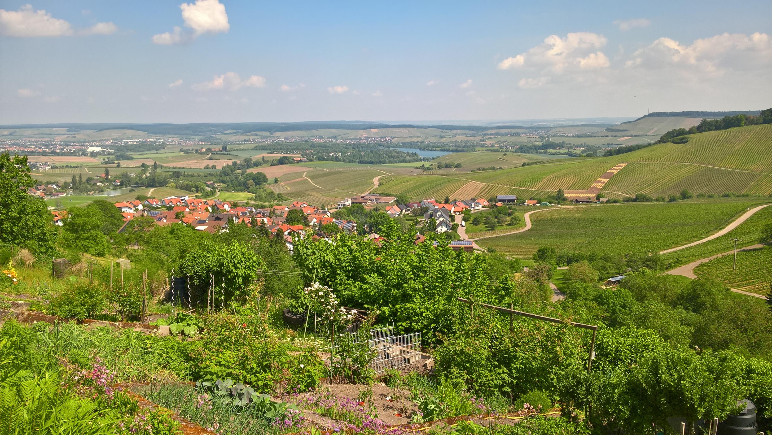 Löwenstein - Detailseite - LEO-BW