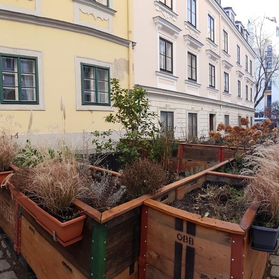 Landschaft: Stadt und Garten im Habitat Guerilla gardening in der NatureSpots App