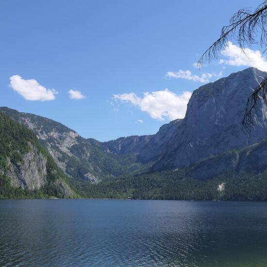 Landscape: Freshwater in habitat Lake in the NatureSpots App