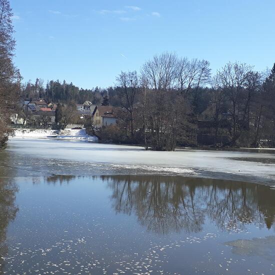 Landscape: Freshwater in habitat Pond in the NatureSpots App