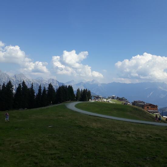 Landschaft: Berg und Felsen im Habitat Bergwiese in der NatureSpots App