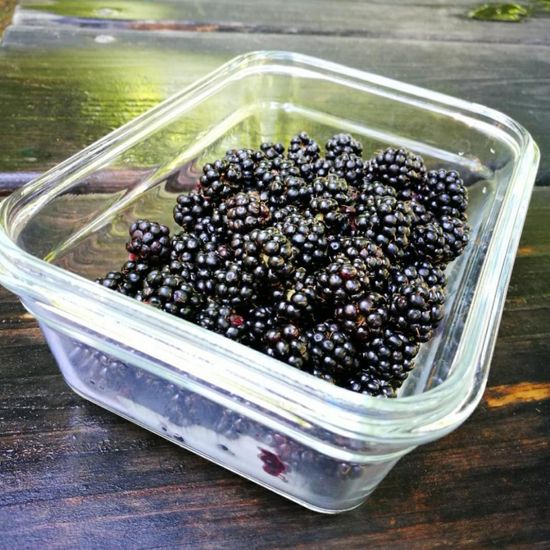 Brombeeren: Pflanze im Habitat Park in der NatureSpots App