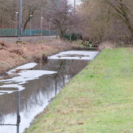 Landschaft: Grasland und Büsche im Habitat Halb-natürliches Grasland in der NatureSpots App