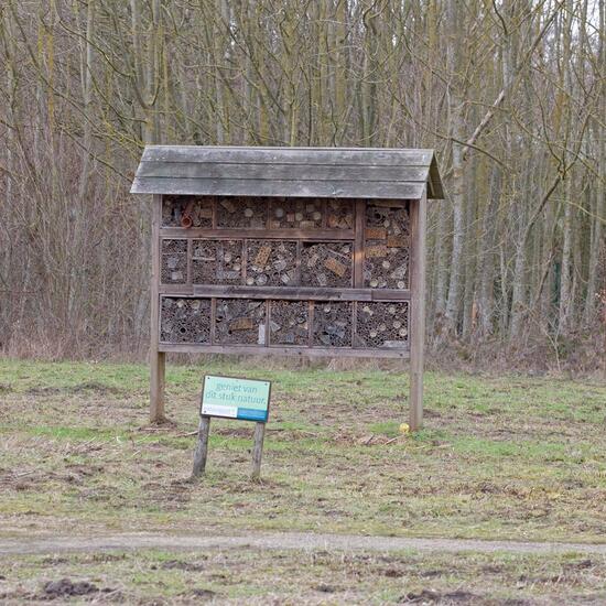 Landschaft: Grasland und Büsche in der NatureSpots App