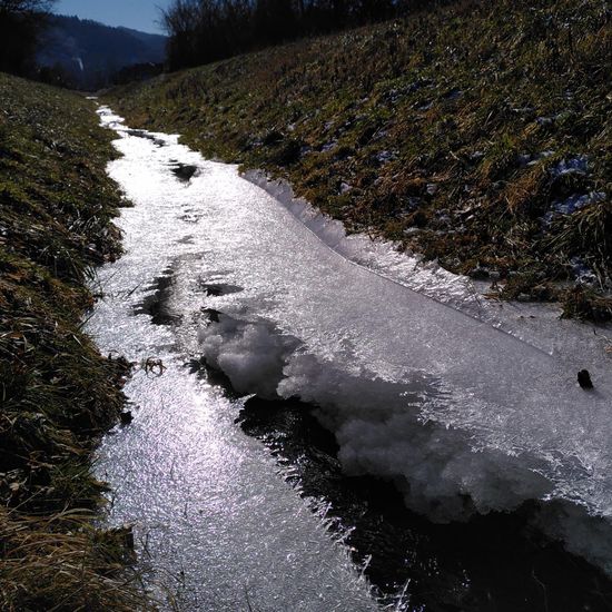 Landschaft: Süßwasser im Habitat Bach in der NatureSpots App