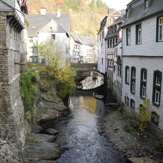 Landschaft: Süßwasser im Habitat Fluss in der NatureSpots App