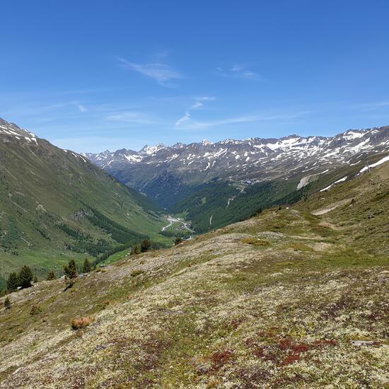Landschaft: Berg und Felsen im Habitat Alpine Tundra in der NatureSpots App