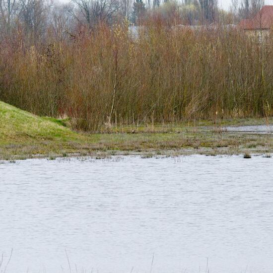 Landschaft: Süßwasser im Habitat Anderes Süsswasserhabitat in der NatureSpots App