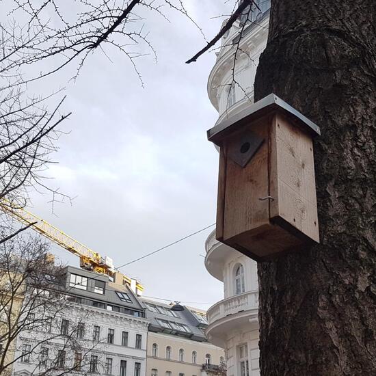 Landschaft: Stadt und Garten im Habitat Innenstadt in der NatureSpots App