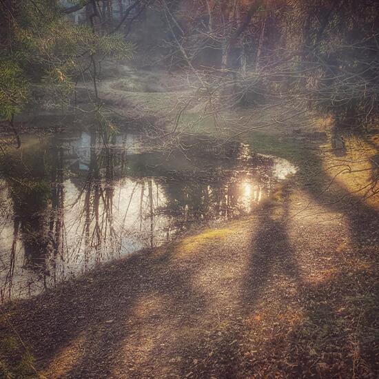 Landschaft: Süßwasser in der NatureSpots App