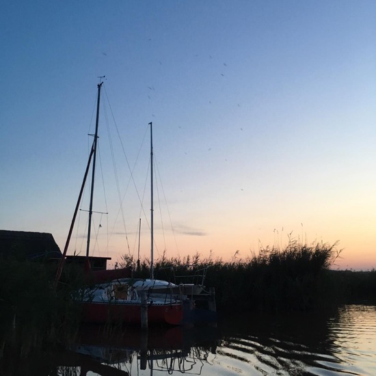 Landschaft: Süßwasser im Habitat See in der NatureSpots App