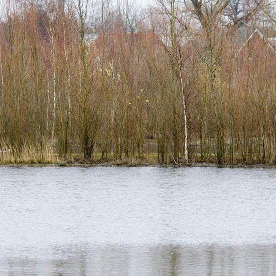 Landschaft: Süßwasser im Habitat Anderes Süsswasserhabitat in der NatureSpots App