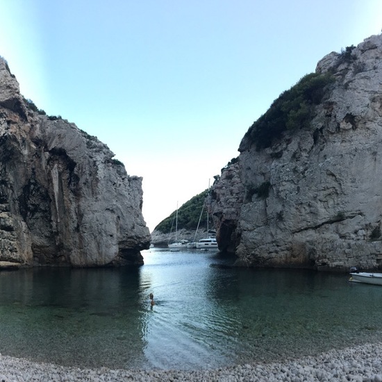 Landscape: Marine and Coast in habitat Rocky coast in the NatureSpots App