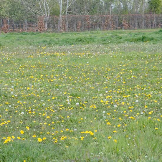 Landschaft: Landwirtschaft im Habitat Landwirtschaft in der NatureSpots App