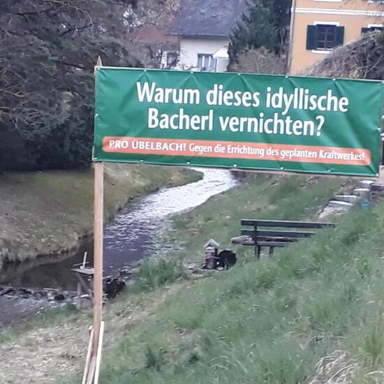 Landschaft: Süßwasser im Habitat Bach in der NatureSpots App