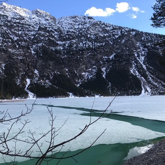 Landschaft: Süßwasser im Habitat See in der NatureSpots App