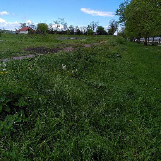 Landschaft: Stadt und Garten im Habitat Park in der NatureSpots App