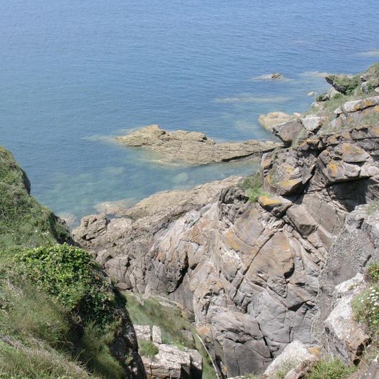 Landschaft: Meer und Küste im Habitat Felsküste in der NatureSpots App