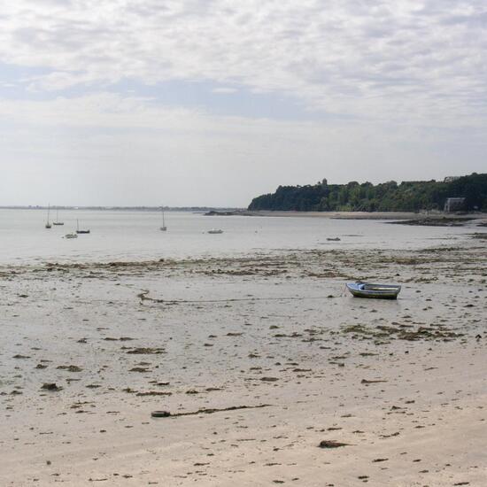 Landschaft: Meer und Küste im Habitat Anderes Meer/Küsten-Habitat in der NatureSpots App