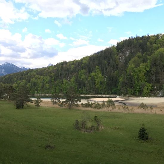 Landschaft: Süßwasser im Habitat See in der NatureSpots App