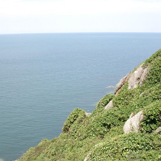 Landschaft: Meer und Küste im Habitat Felsküste in der NatureSpots App