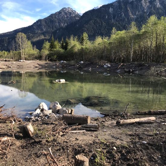 Landschaft: Süßwasser im Habitat Künstliches Süßwasser in der NatureSpots App