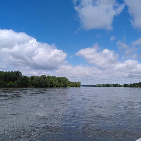 Landschaft: Süßwasser im Habitat Fluss in der NatureSpots App