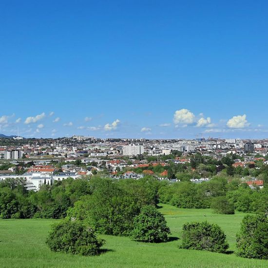 Landschaft: Stadt und Garten im Habitat Anderes Stadthabitat in der NatureSpots App