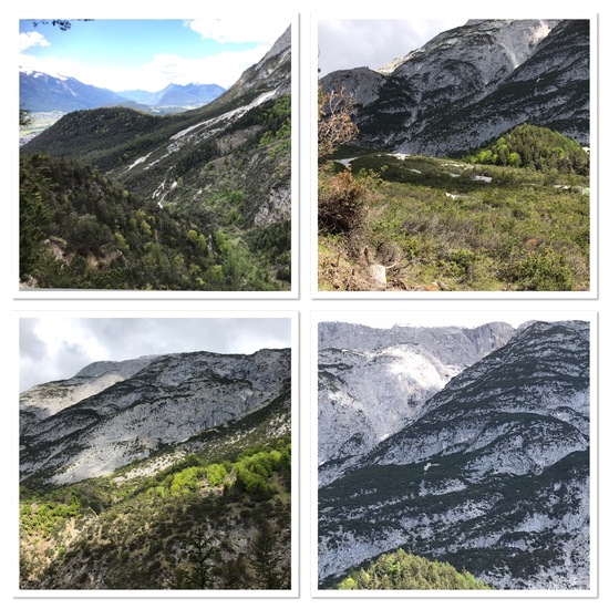 Landschaft: Berg und Felsen im Habitat Felsgebiet in der NatureSpots App