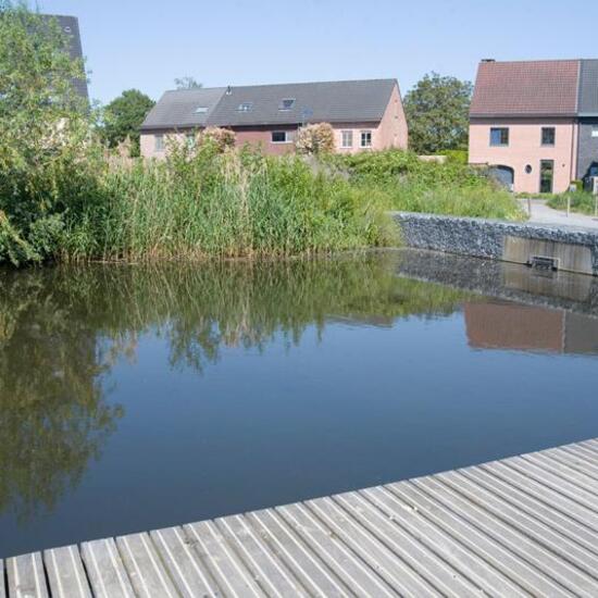 Landscape: Freshwater in habitat Pond in the NatureSpots App