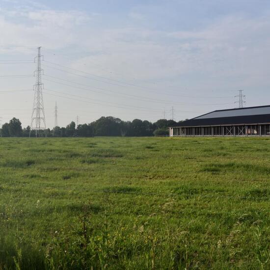 Landscape: Agriculture in habitat Agricultural meadow in the NatureSpots App