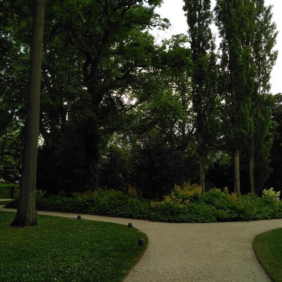 Landscape: Urban and Garden in habitat Park in the NatureSpots App