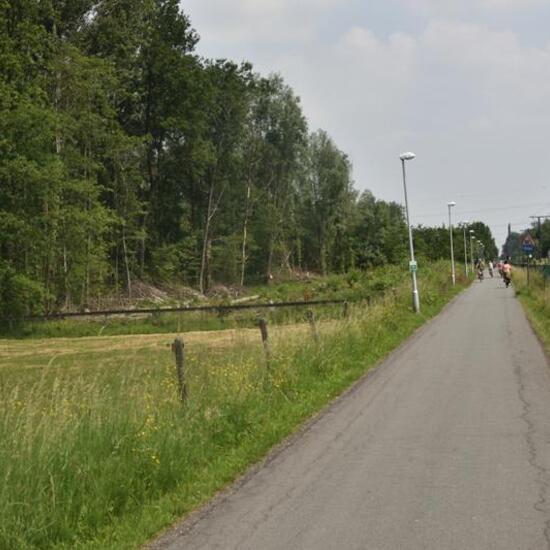 Landschaft: Stadt und Garten im Habitat Strasse/Verkehr in der NatureSpots App