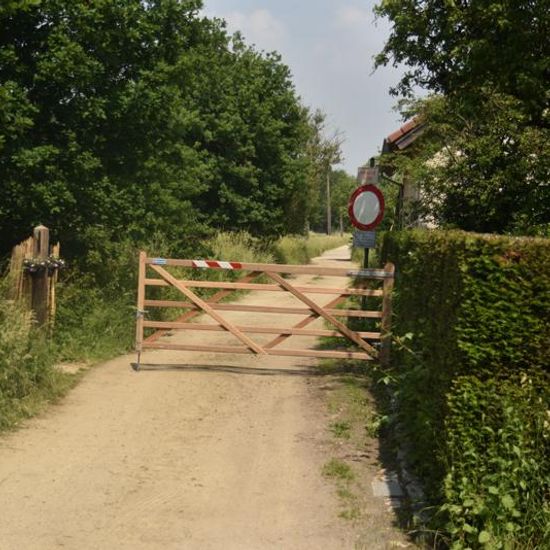 Landschaft: Stadt und Garten im Habitat Strasse/Verkehr in der NatureSpots App