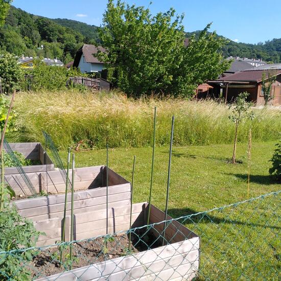 Landscape: Urban and Garden in habitat Garden in the NatureSpots App