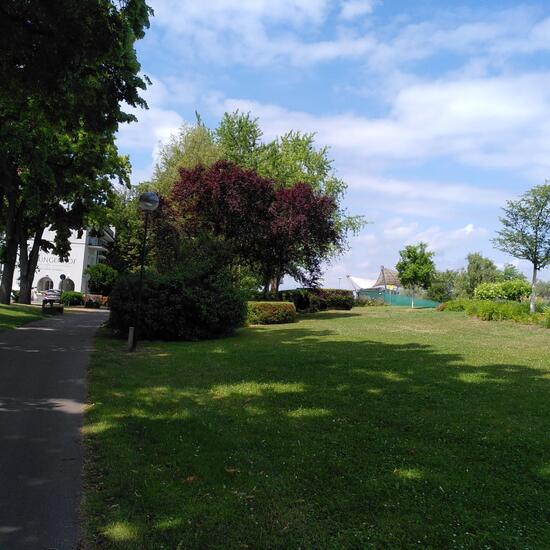 Landschaft: Stadt und Garten im Habitat Hecke/Blumenbeet in der NatureSpots App