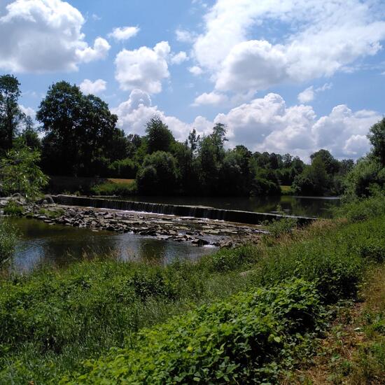 Landscape: Freshwater in habitat River in the NatureSpots App