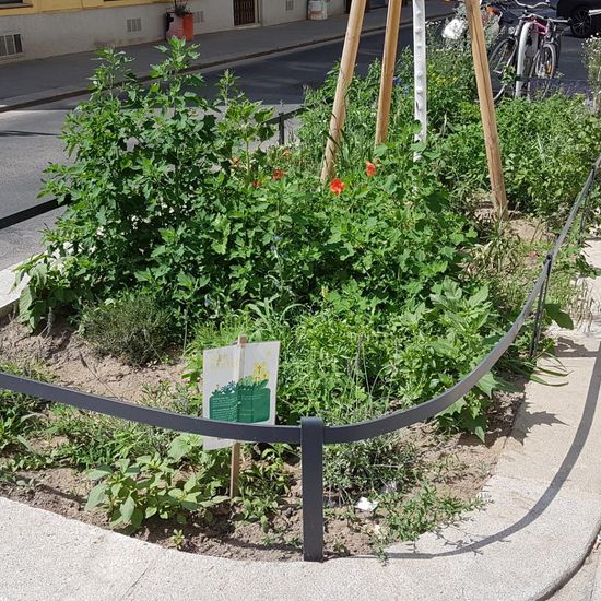 Landschaft: Stadt und Garten im Habitat Hecke/Blumenbeet in der NatureSpots App