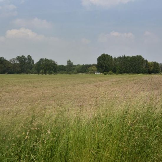 Landschaft: Landwirtschaft im Habitat Landwirtschaftliche Wiese in der NatureSpots App