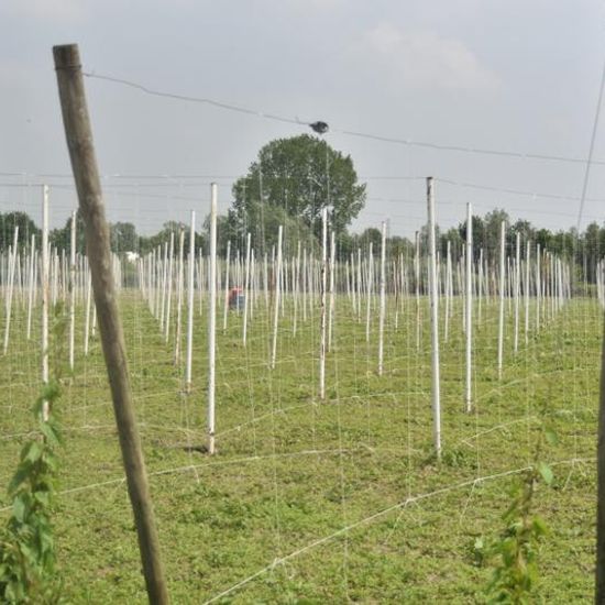 Landschaft: Landwirtschaft im Habitat Landwirtschaftliche Wiese in der NatureSpots App