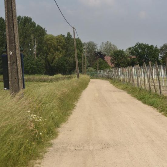 Landschaft: Stadt und Garten im Habitat Strasse/Verkehr in der NatureSpots App