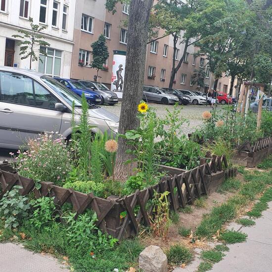 Landscape: Urban and Garden in habitat Guerilla gardening in the NatureSpots App