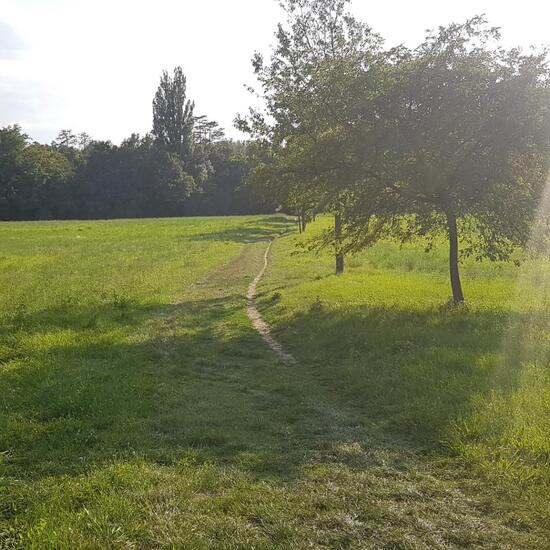 Landschaft: Grasland und Büsche im Habitat Halb-natürliches Grasland in der NatureSpots App