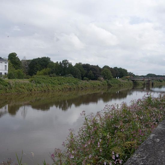 Landscape: Freshwater in habitat River in the NatureSpots App