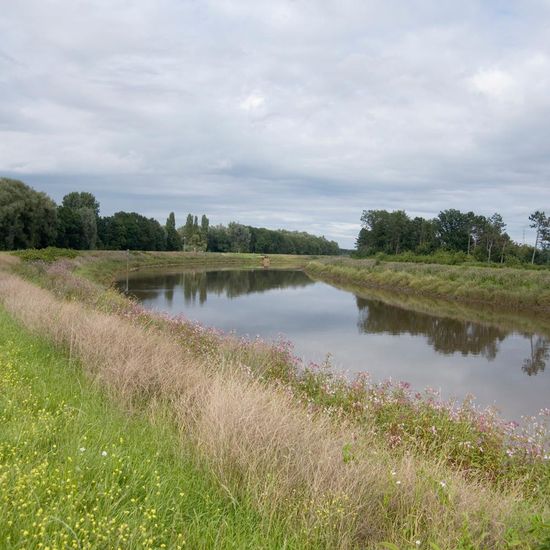 Landscape: Freshwater in habitat River in the NatureSpots App