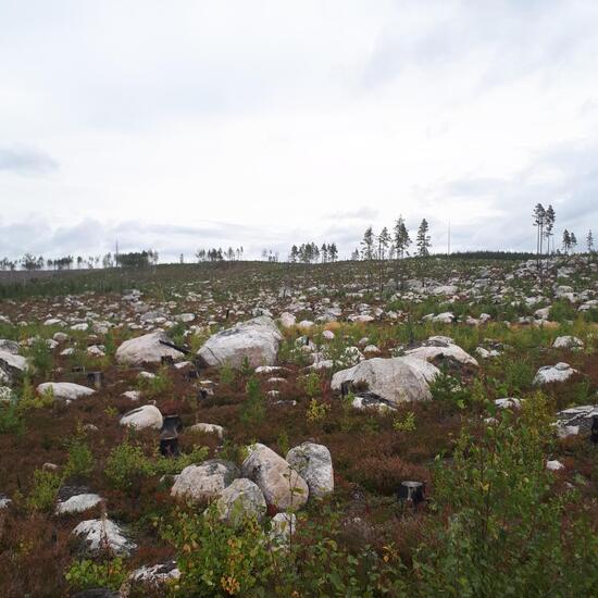 Landscape: Agriculture in habitat Agricultural meadow in the NatureSpots App