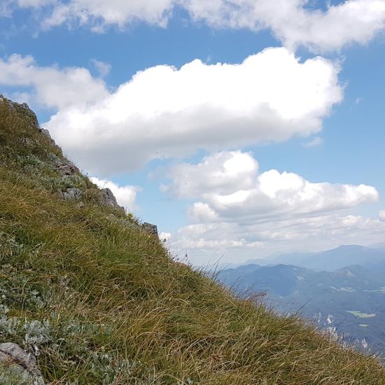 Landschaft: Berg und Felsen im Habitat Alpine Tundra in der NatureSpots App