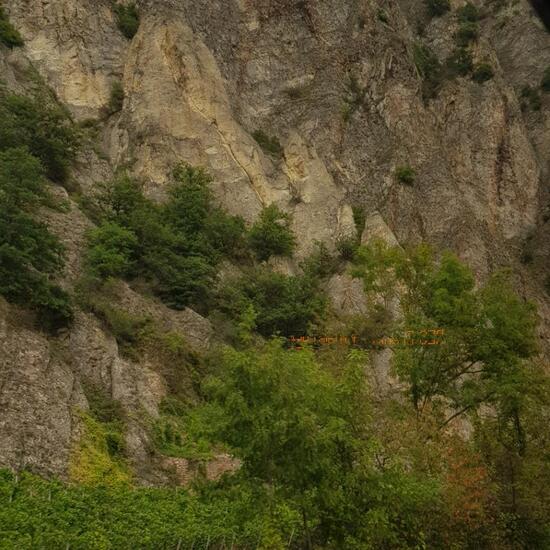 Landschaft: Berg und Felsen im Habitat Felsgebiet in der NatureSpots App