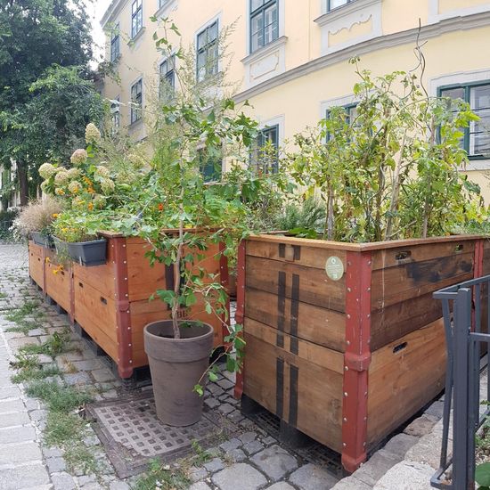 Landschaft: Stadt und Garten im Habitat Guerilla gardening in der NatureSpots App